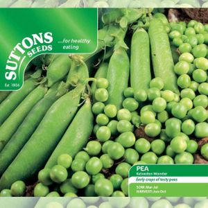 Suttons Veg Pea Kelvedon Wonder