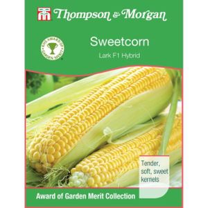 Thompson & Morgan Veg Sweetcorn Lark F1 Hybrid