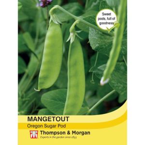 Thompson & Morgan Pea Oregon Sugar Pod (Mangetout)