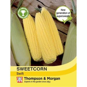 Thompson & Morgan Veg Sweetcorn Swift F1 Hybrid