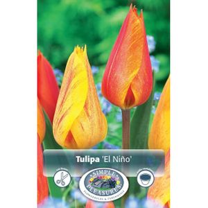 Simple Tulip El Nino