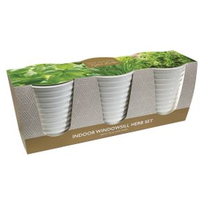 Taylors Windowsill Ceramic Herb Pots