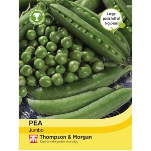 Thompson & Morgan Pea Jumbo