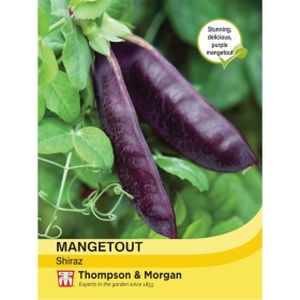 Thompson & Morgan Mangetout Shiraz