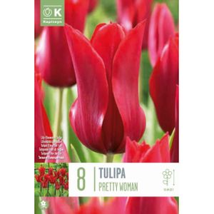 Kapiteyn Tulip Pretty Woman