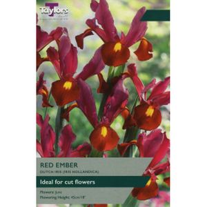 Taylors Iris Red Ember