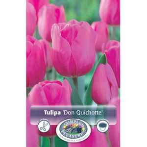 Simple Tulip Don Quichotte