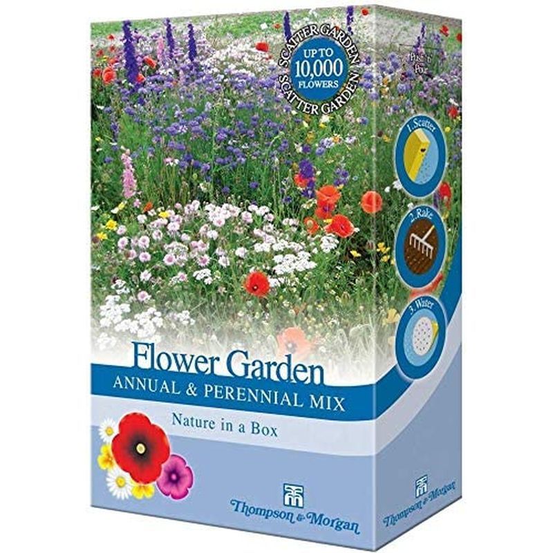 Thompson & Morgan Flower Garden Annual and Perennial Mix Scatter pack ...