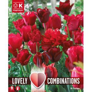 Kapiteyn Tulip Red Shades Mix