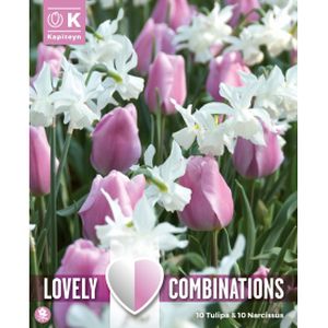 Kapiteyn Tulip Pink, Narcissus White Mix