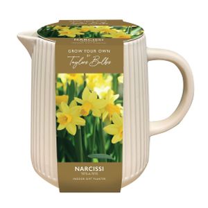 Taylors Ceramic Narcissi Jug