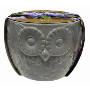 Taylors Novelty Owl Planter