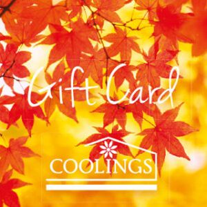 Coolings Voucher Autumn Leaves