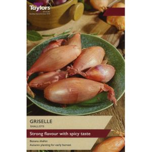 Taylors Shallot Griselle