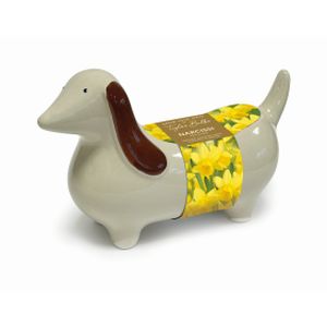 Taylors Novelty Sausage Dog Planter