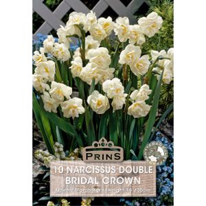 Prins Narcissus Bridal Crown