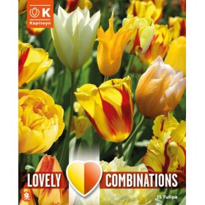 Kapiteyn Tulip Sunny Delight Blend