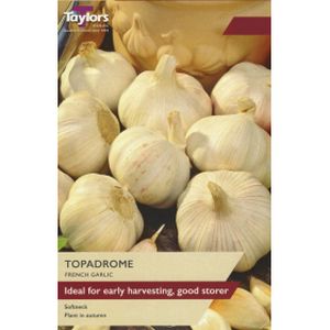 Taylors French Garlic Topadrome