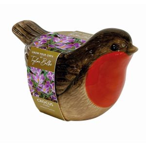 Taylors Robin Planter