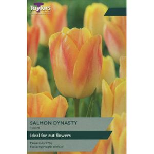 Taylors Tulip Salmon Dynasty