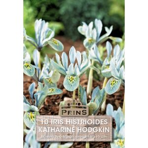 Prins Iris Dwarf Katharine Hodgkin