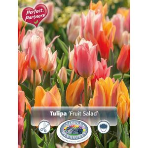 Simple Tulipa Fruit Salad