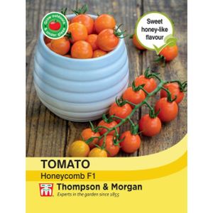 Thompson & Morgan Tomato Honeycomb F1