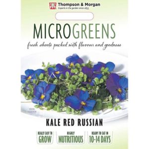 Thompson and Morgan Microgreens Kale Red Russian