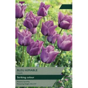 Taylors Tulip Bleu Aimable