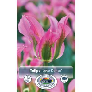 Simple Tulipa Love Dance