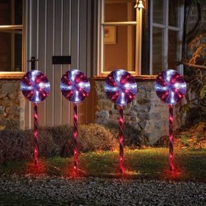 Smart Large Candyswirl Stakes Set Of 4