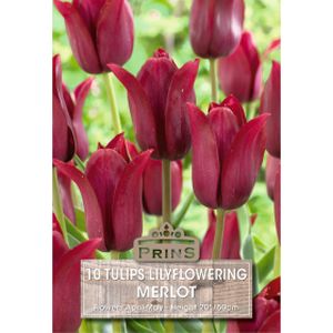 Prins Tulips Merlot