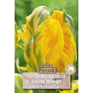 Prins Tulips Eagle Wings