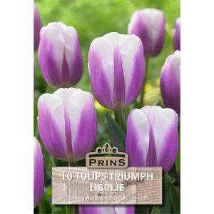 Prins Tulips Librije