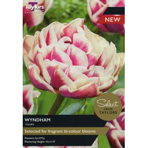 Taylors Tulip Wyndham