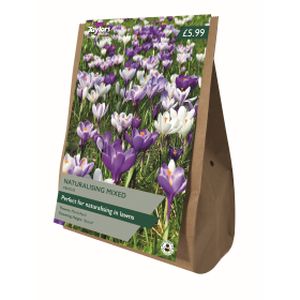 Taylors Crocus Naturalising Mixed Bag