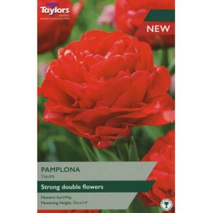 Taylors Tulip Pamplona