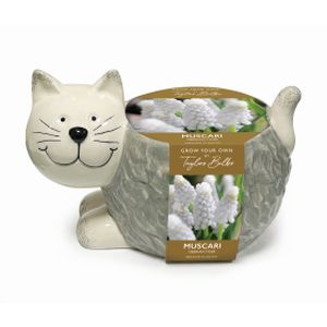 Taylors Novelty Cat Ceramic Planter