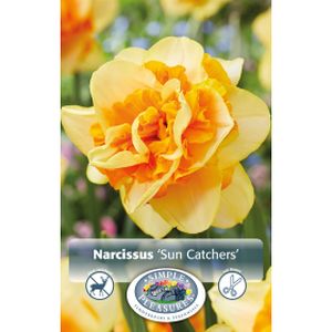 Simple Narcissus Double  Sun Catchers