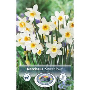 Simple Narcissus Frag Jonquil Sweet Love