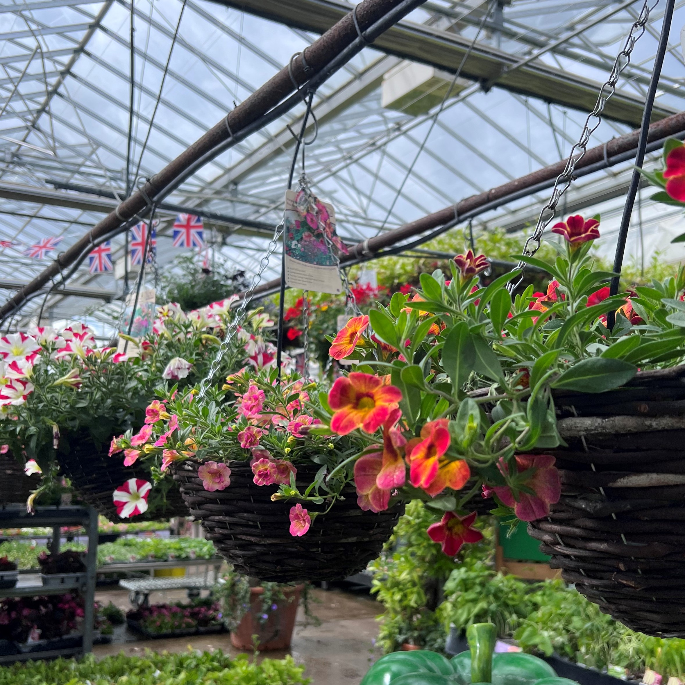 Planted Baskets & Containers