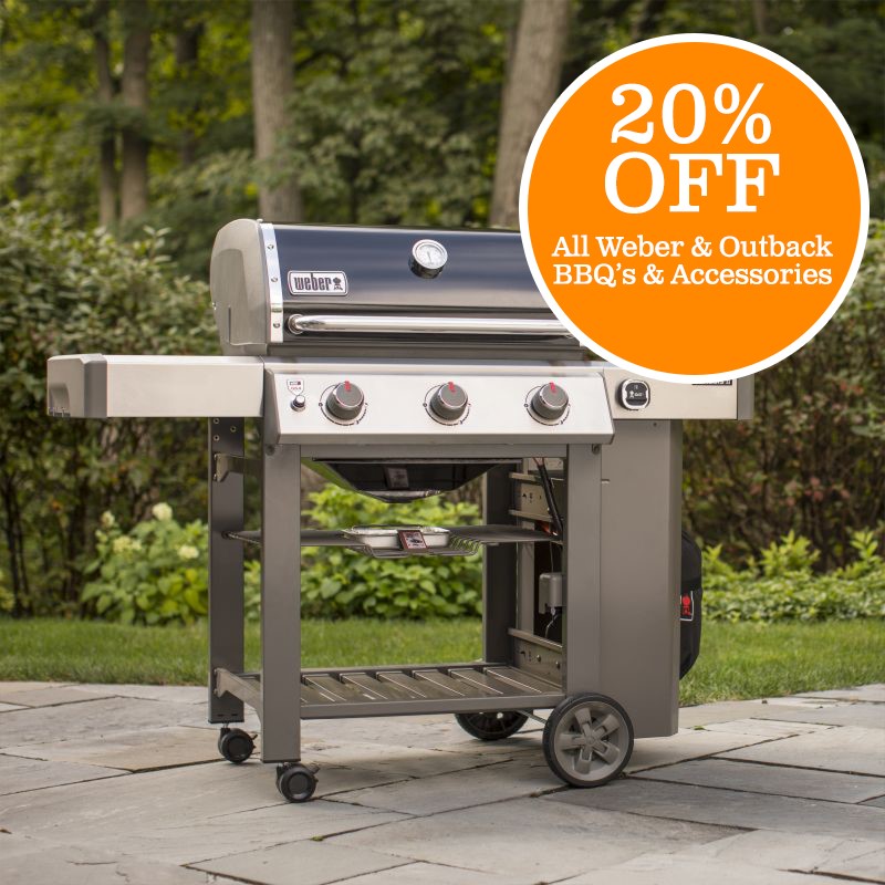 BBQ Sale (selected items)
