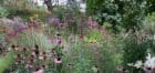 The Beauty and Benefits of Prairie Planting